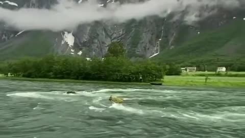 Glamorous pakistan