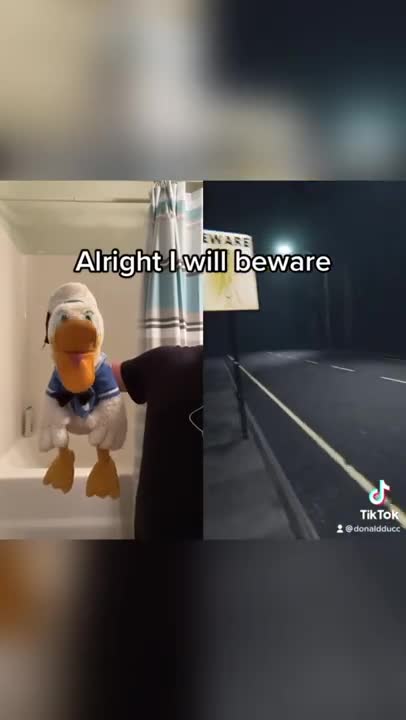 Donald Duck can’t calm down #shorts