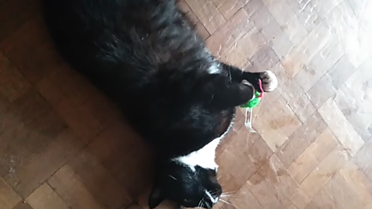 Milkshake vs toy