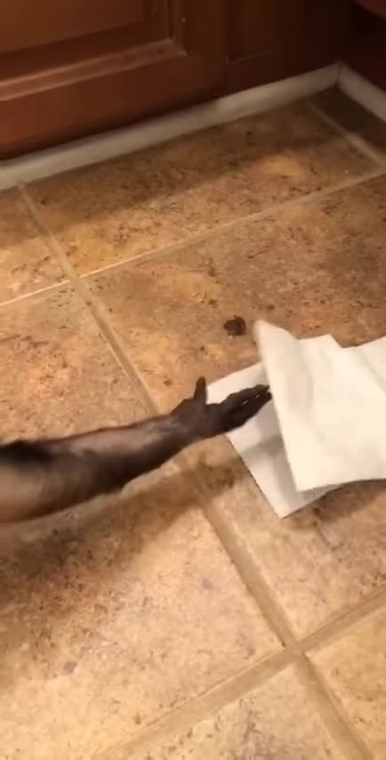 💥🕷 warning watch at your own risk🕷💥