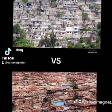 INSECTS VS SNAKES DENS