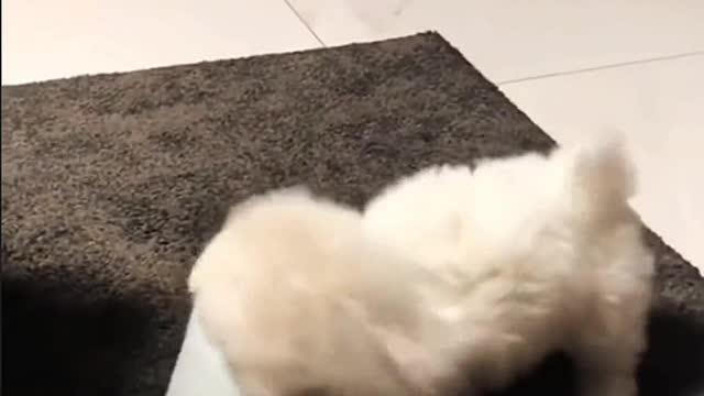 Although you are an animal, you are warmer than anyone