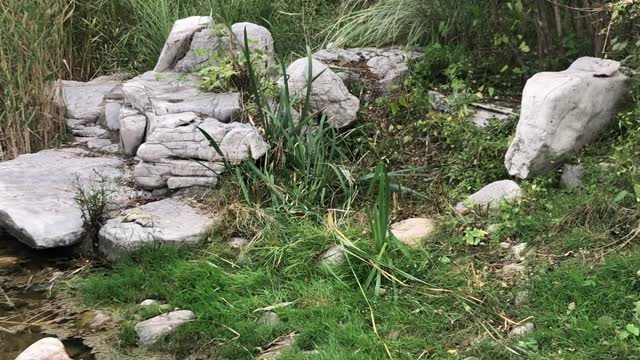 The stone jumped into the river to take a bath