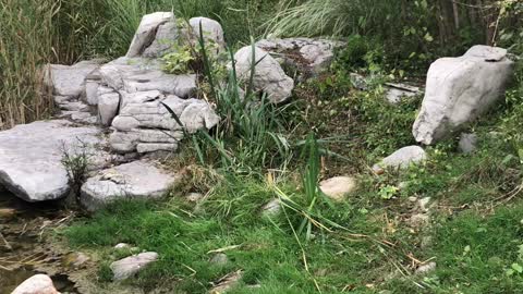 The stone jumped into the river to take a bath