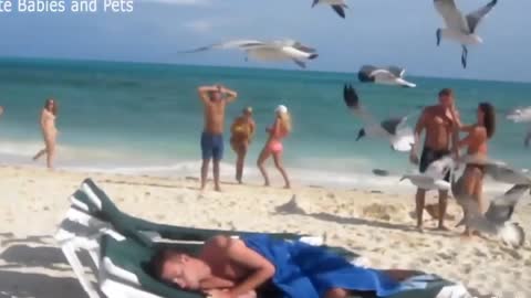 Clueless guy, sleeping beauty with all the birds flying all over him