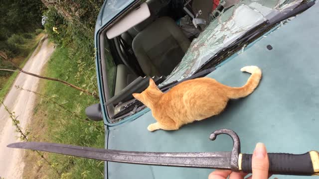 2019-08-01 - Débroussaillage à la baïonnette Chassepot - Youtube