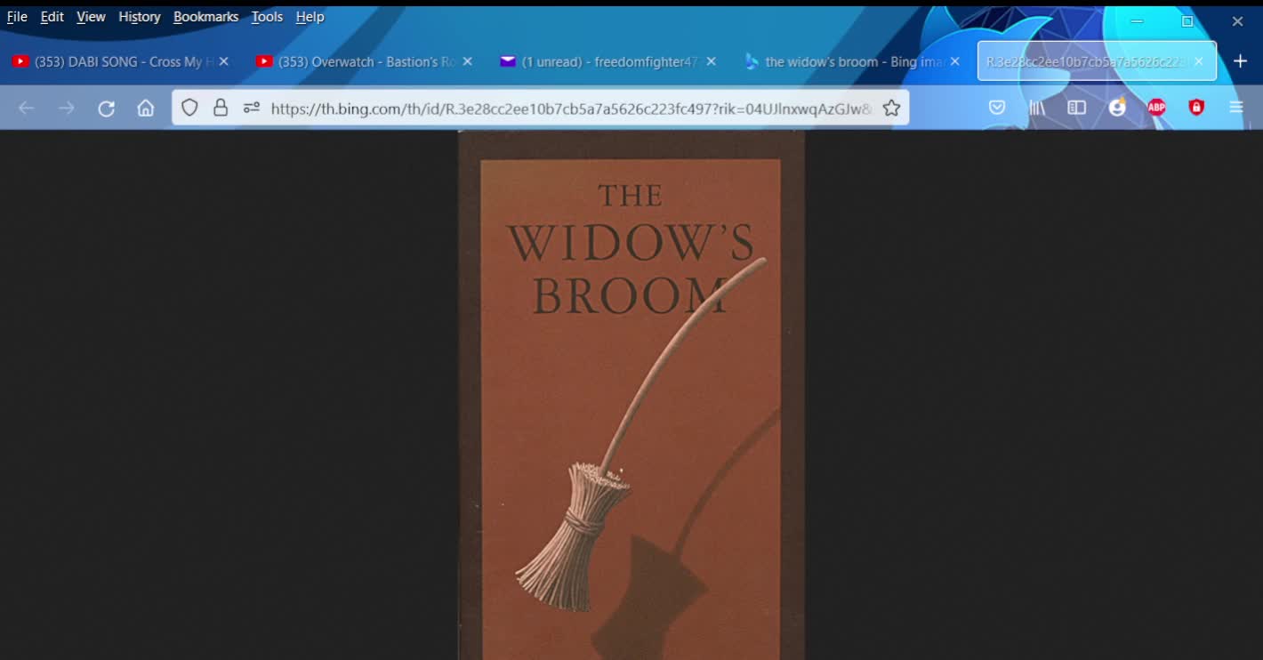 Yesterday's Books: The Widows Broom