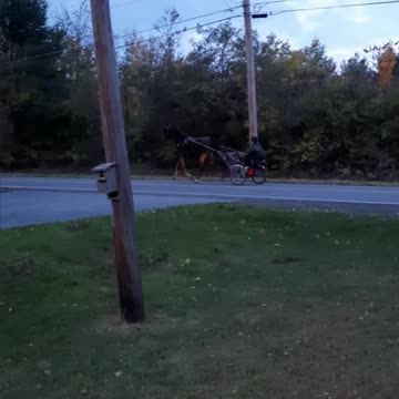 MotoScooten no HorseyScooten