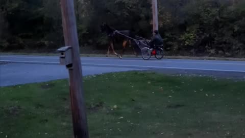 MotoScooten no HorseyScooten