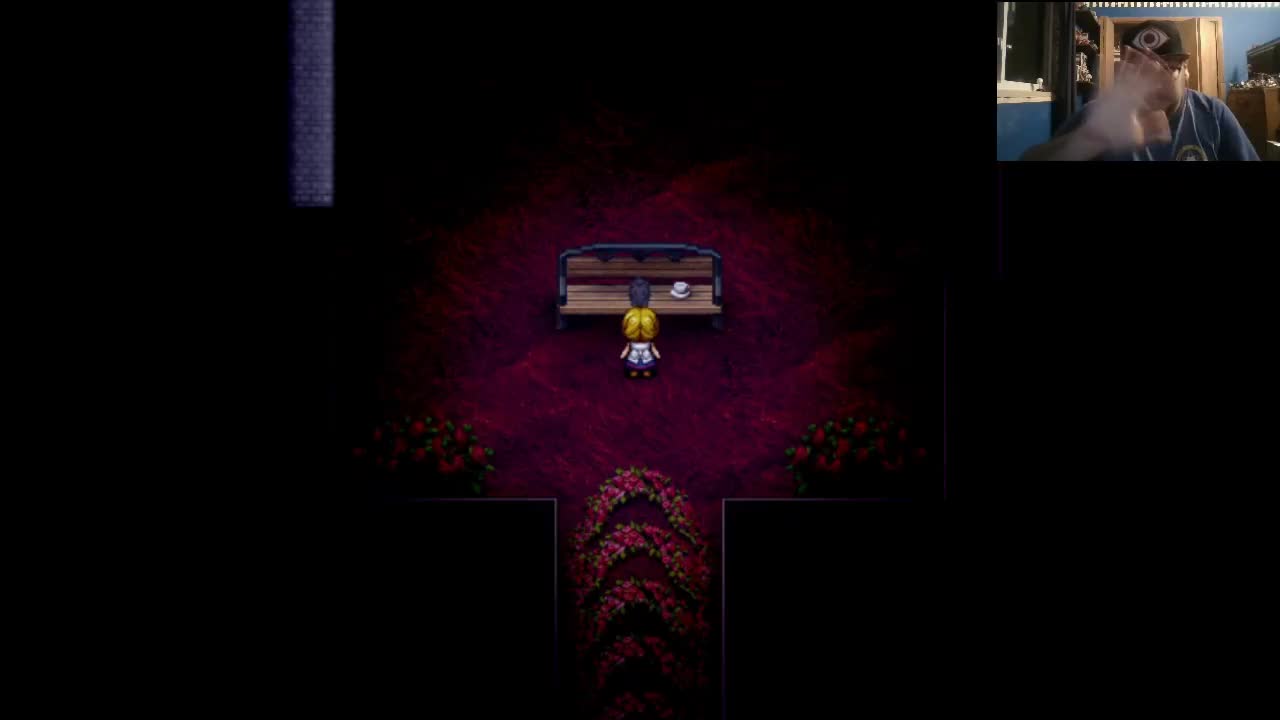 ZuperNEZ Plays The Witch's House Part 2