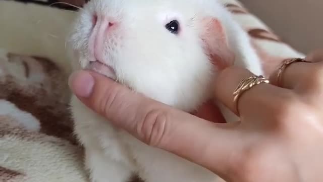 Видео заряжено на улыбку