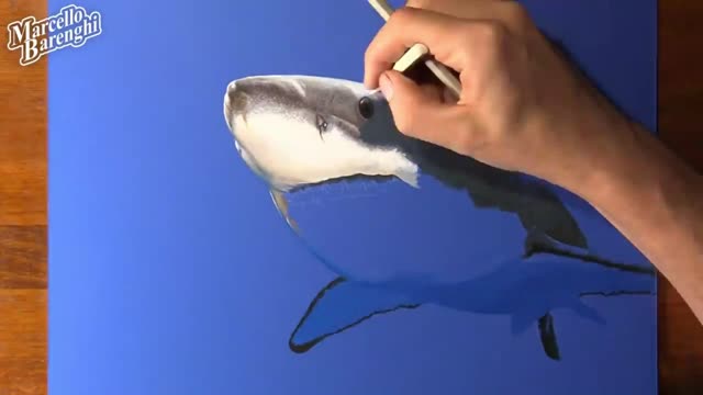 Depict The Eye Shape Of A Shark
