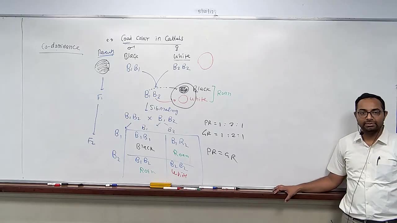 principle of inheritance 09 (join telegram neetwithme001 for more)