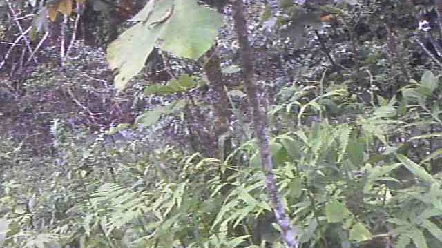 Start the hike up Mt. Pillama near San Antonio Ecuador