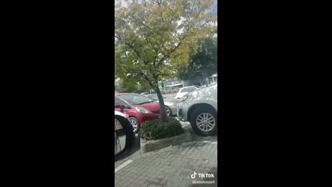 A plea for the white people to take power!!!