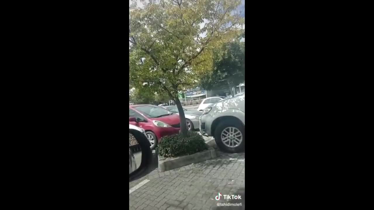 A plea for the white people to take power!!!