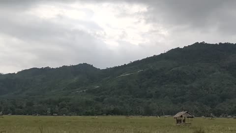 Holiday in the village