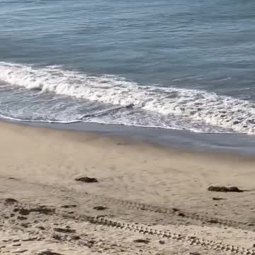 Guy doing squats on sand beach