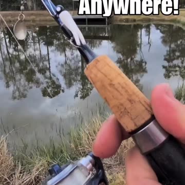 The only fishing lure you need!