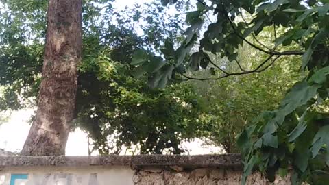 The source of the adheism. In Idlib. Rural Bridge of Al-Shughour