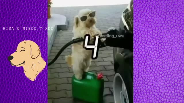 No se si reir o asustarme jaja