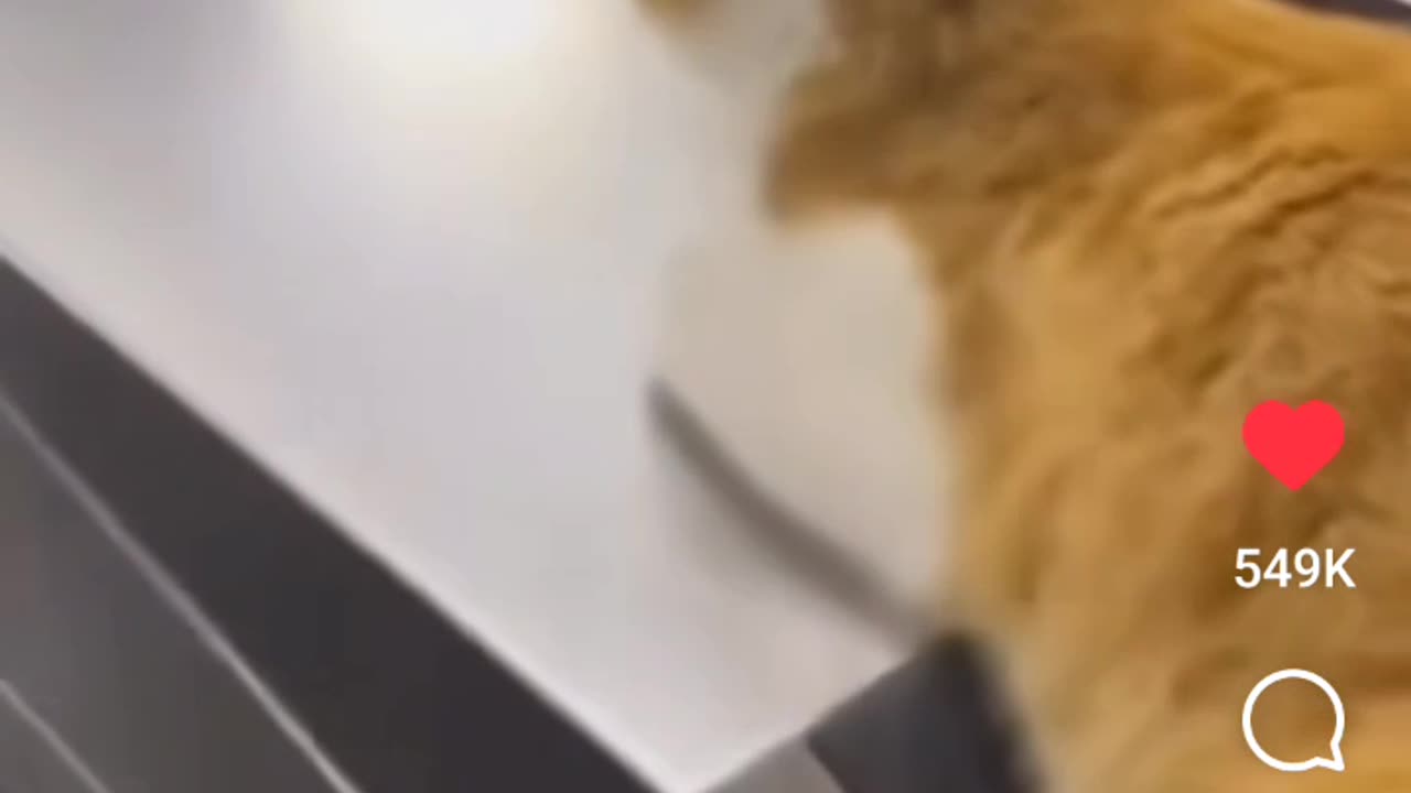 Respect Your Overseers