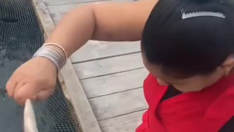 Wow