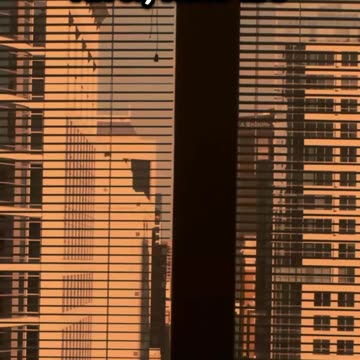 013 Rats in the zodiac are the epitome of resourcefulness and charm,