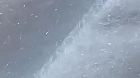 Il verme delle mascherine