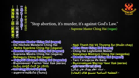 Stop Abortion, It’s Murder, It’s Against God’s Law, Part 1