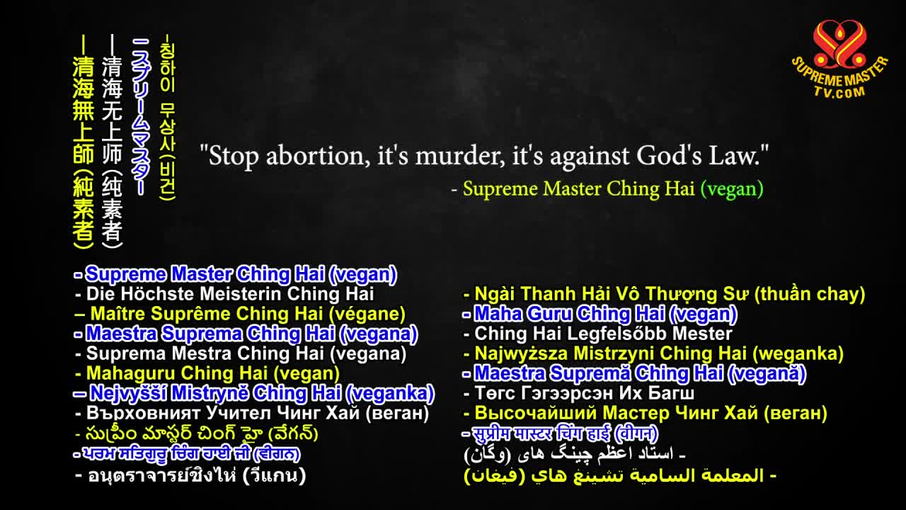 Stop Abortion, It’s Murder, It’s Against God’s Law, Part 1