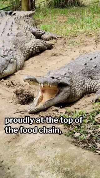 A new “symbol” of our great nation?!