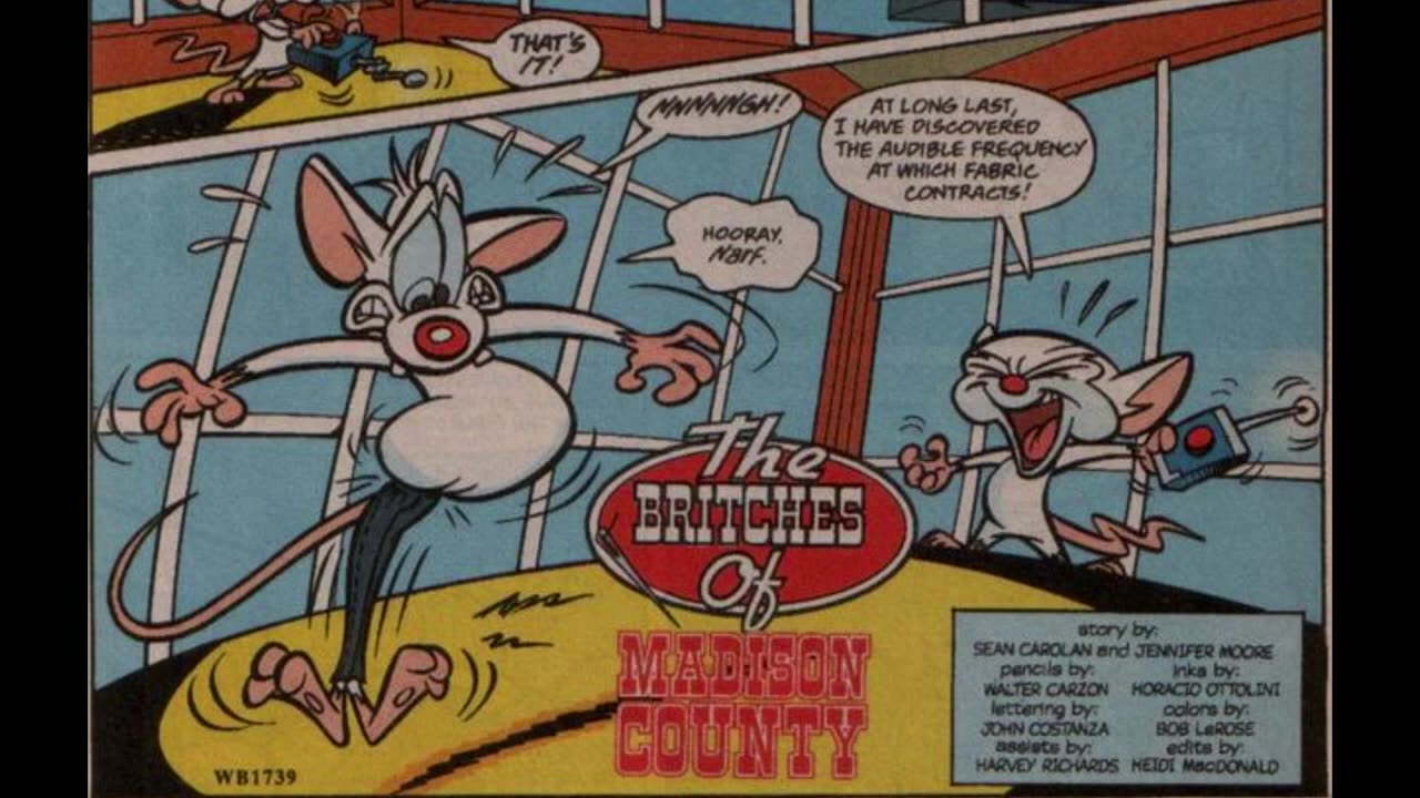 Newbie's Perspective Animaniacs Issues 53-56 Reviews