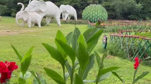 An elephant statue on the grass