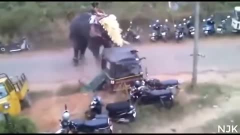 Elephant attack in KREALA