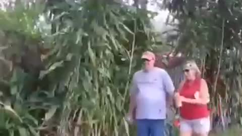 Hidden funny camera