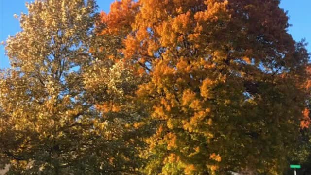 Conspiracies Of Humans Vs Sovereign Rule Of God