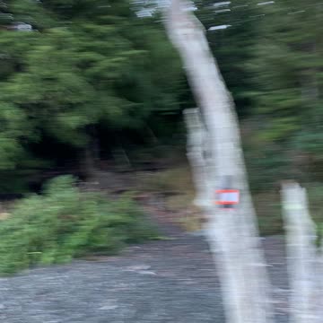 New Zealand lake Sumner 2