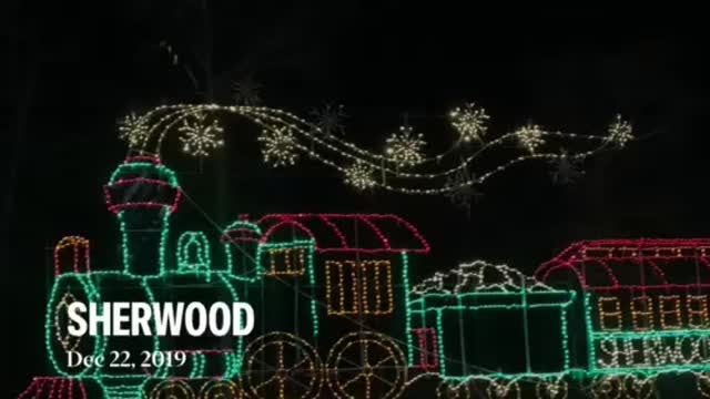 Sherwood Forest Christmas lights