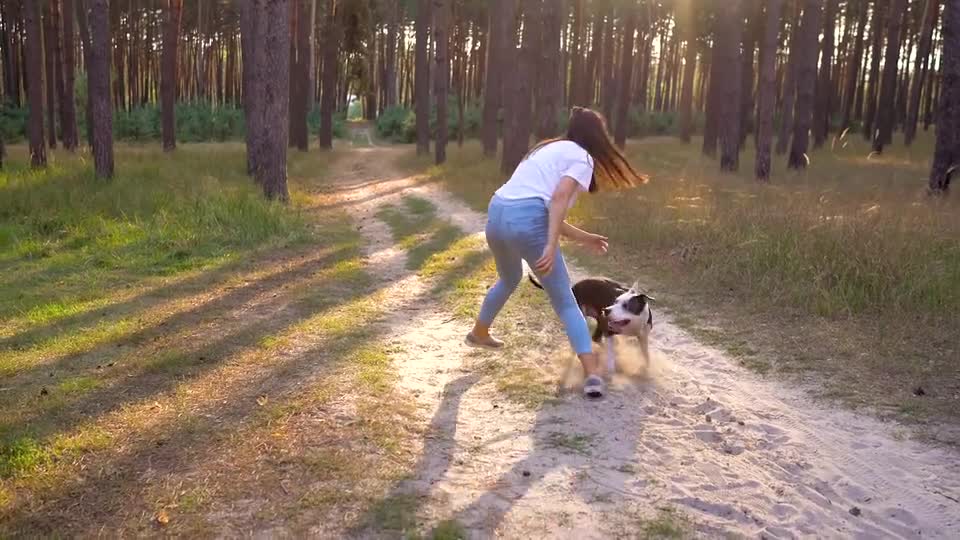 Animal fun girl with her dog