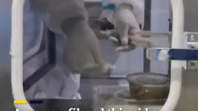 "HUMAN ZOO" is what people are describing Chinese Quarantine