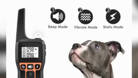 Best Dog Training Gadgets For Every Dogs