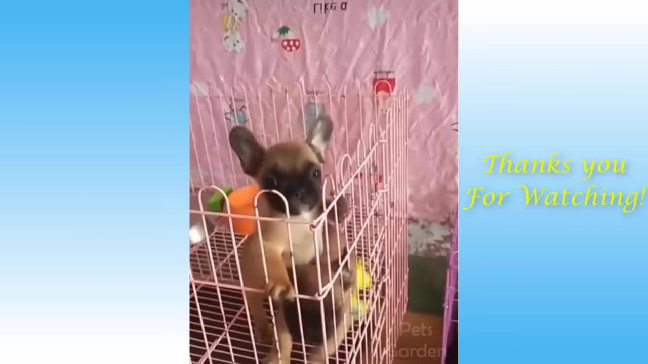 lovely and fun