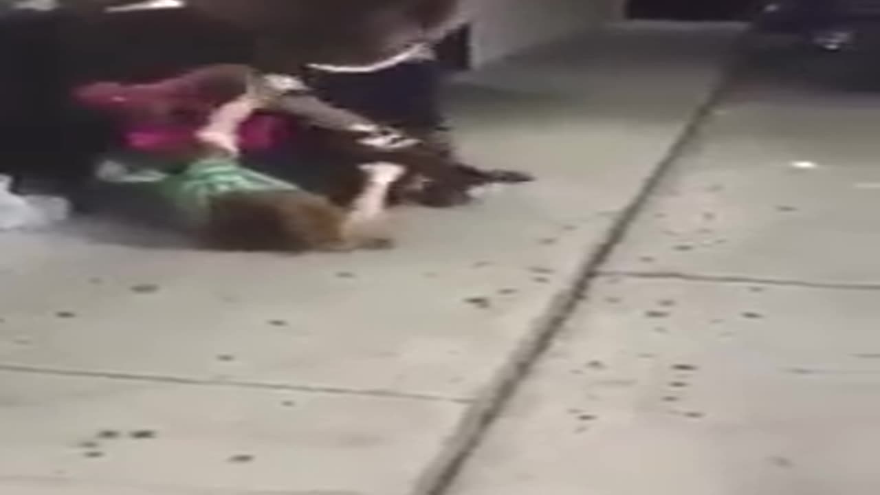 DUE RISORSE CHE PICCHIANO UNA DONNA BIANCA