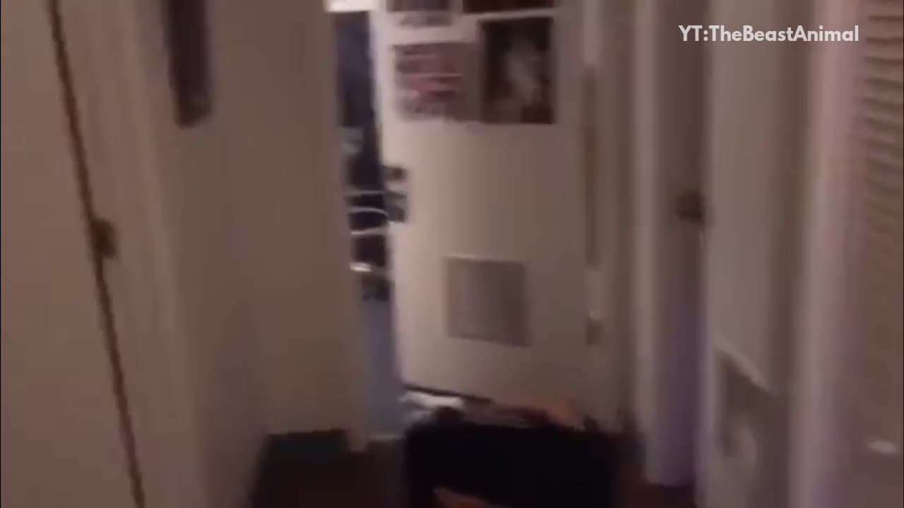 Guy in black jump kicks a door open