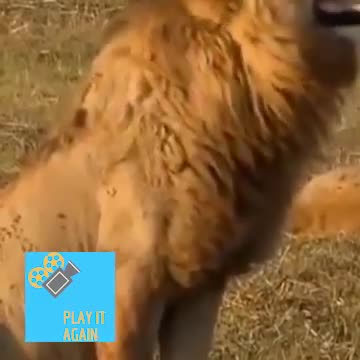 Kiki horse back Challenge.mp4