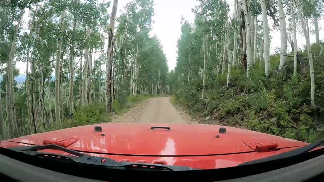last dollar road
