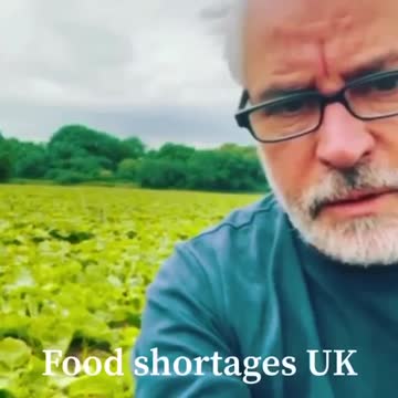 Food shortages? Manufactured