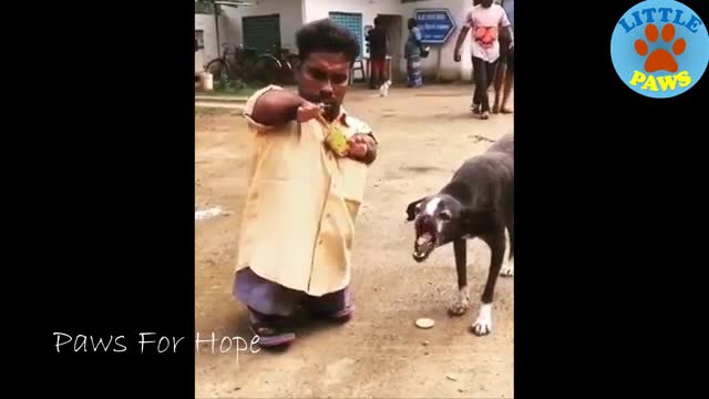 TOP Animal Heartbreaking, Emotional/ Inspiring Will Melt Your Heart Compilation