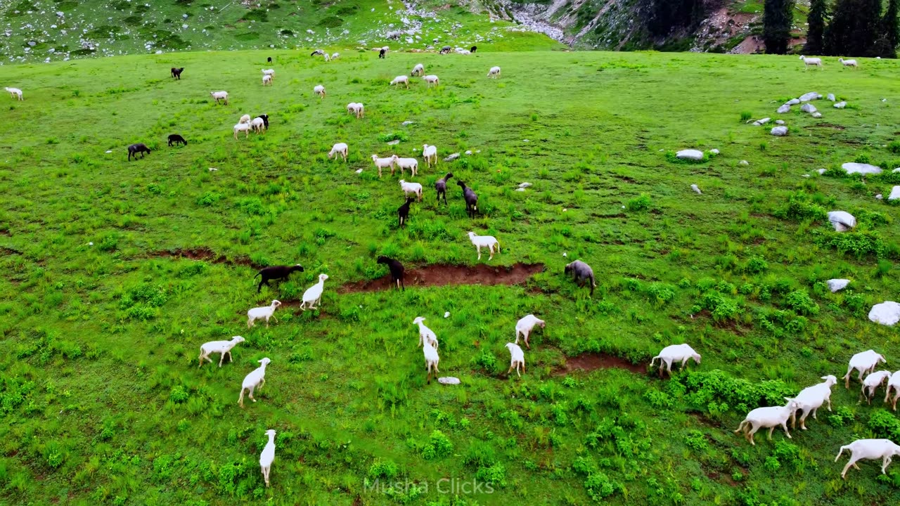 Gabin Jabba Swat Pakistan (Paradise of Swat)